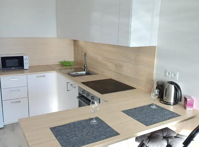 New Air-conditioned 5 Minutes By Walk From The Airport With Free Garage Parking *