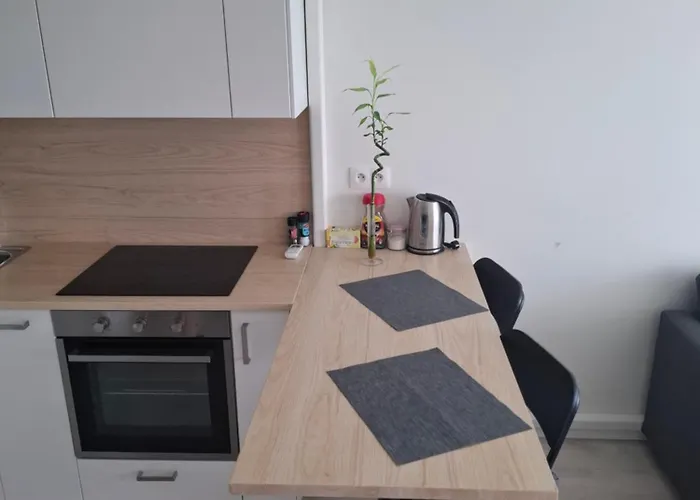 Apartament New Air-conditioned 5 Minutes By Walk From The Airport With Free Garage Parking *