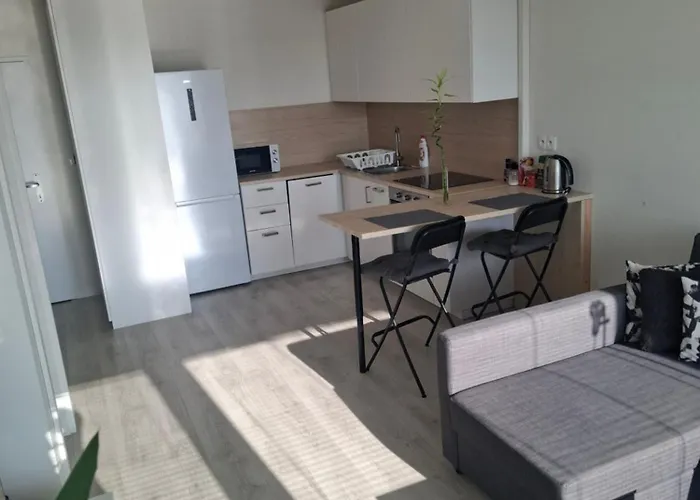 New Air-conditioned 5 Minutes By Walk From The Airport With Free Garage Parking *