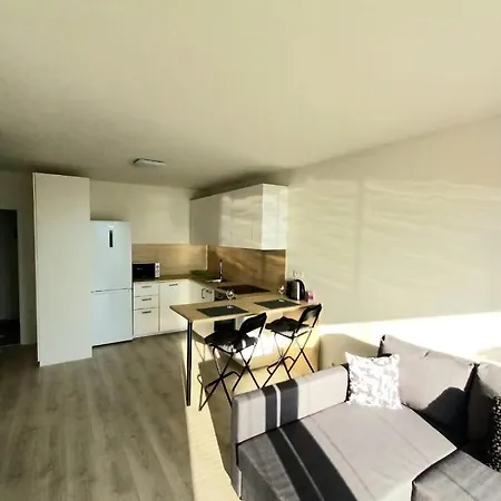 New Air-conditioned 5 Minutes By Walk From The Airport With Free Garage Parking Апартаменты Братислава